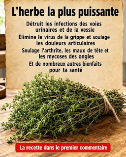 🌿🔥 Le thym : le pouvoir médicinal d’une petite plante qui peut transformer votre bien-être