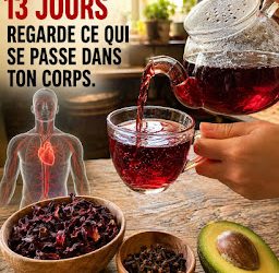 La graine qui a vidé les hôpitaux parce qu’elle soigne le cancer, le diabète, l’hypertension et la mauvaise circulation.