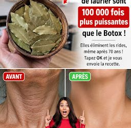 Feuille de Laurier contre les Rides : Le Remède Naturel qui Prend Soin de Votre Peau en Douceur