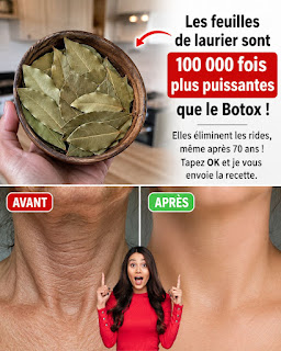 Feuille de Laurier contre les Rides : Le Remède Naturel qui Prend Soin de Votre Peau en Douceur