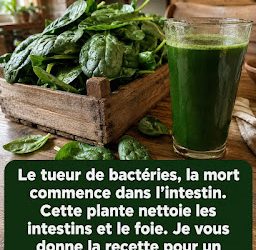 Cette plante verte nettoie les intestins et le foie de manière naturelle.