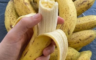 Banane : Combien Peut-on en Manger par Jour pour Profiter de ses Bienfaits ?