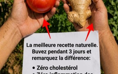 🥤 Jus Naturel Rafraîchissant : La Recette Idéale pour S’Hydrater et