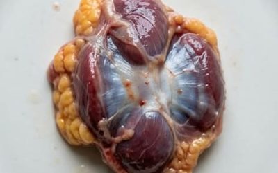 Saviez-vous que si vous mangez des gésiers de poulet, vous n’avez pas besoin de prendre ceci