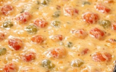 Sud 4-Ingrédients Rotel Dip