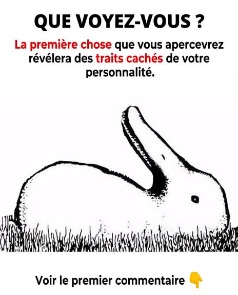 premier révélera des aspects cachés de votre âme