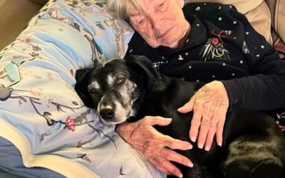J’étais la seule à avoir amené le chien de ma grand-mère pendant que ma famille se disputait l’héritage familial — et ce geste a fini par révéler le secret de famille qu’elle m’avait laissé