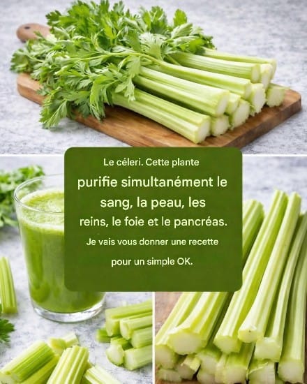 Jus détoxifiant pour le foie et le pancréas…