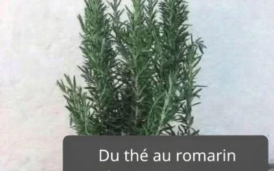 On l’appelle morphine naturelle car elle soulage les douleurs musculaires,