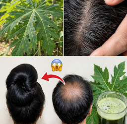 Jus de feuilles de papaye pour la pousse des cheveux : une recette naturelle et efficace