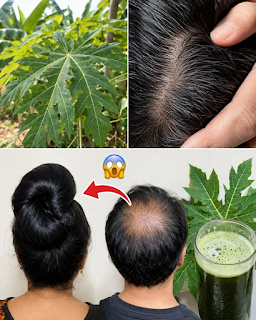 Jus de feuilles de papaye pour la pousse des cheveux : une recette naturelle et efficace