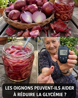 L’oignon rouge pour faire baisser la glycémie : recettes et bienfaits