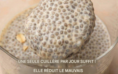 Le pudding ultime aux super-aliments : comment une seule cuillère peut transformer votre santé…voir la recettes dans les commentaires
