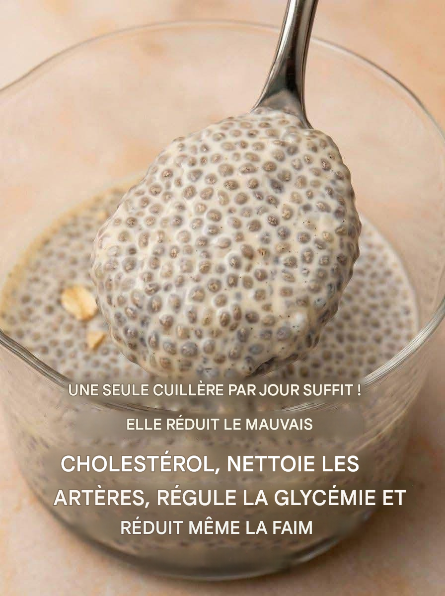 Le pudding ultime aux super-aliments : comment une seule cuillère peut transformer votre santé…voir la recettes dans les commentaires