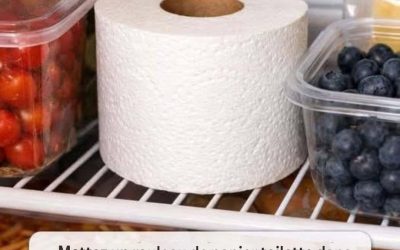 Mettre un rouleau de papier de toilette dans le réfrigérateur. Voici pourquoi