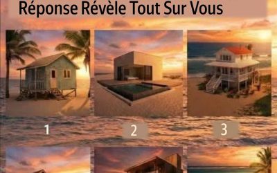 Vous Devez Choisir Une Seule Maison de Plage à Vivre pour le Reste de Votre Vie