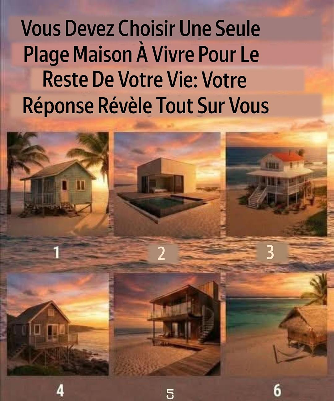Vous Devez Choisir Une Seule Maison de Plage à Vivre pour le Reste de Votre Vie