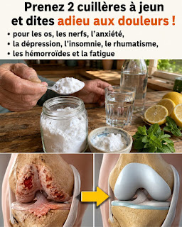 🌿 Le Pouvoir Caché d’un Seul Ingrédient Naturel pour le Bien-Être au Quotidien ✨