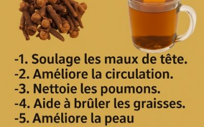 Le thé aux clous de girofle : bienfaits, recettes et précautions