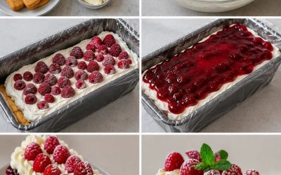 Gâteau Glacé aux Framboises et Mascarpone Sans Cuisson