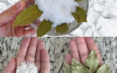 Sel, bicarbonate et laurier : ces ingrédients méconnus qui transforment votre lessive