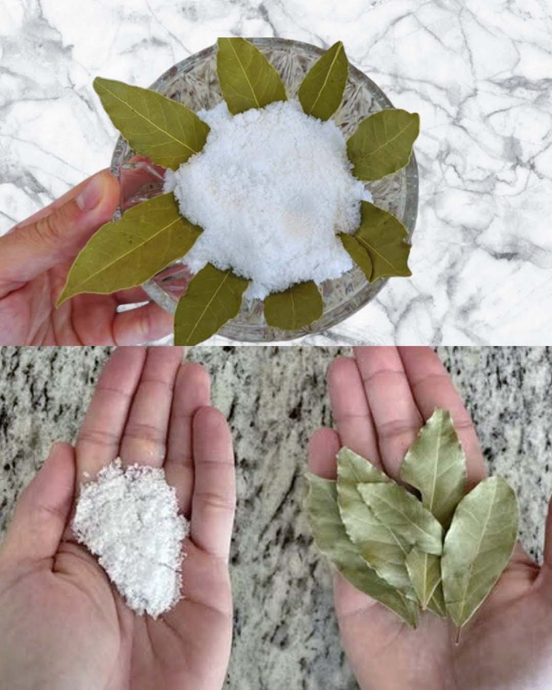 Sel, bicarbonate et laurier : ces ingrédients méconnus qui transforment votre lessive