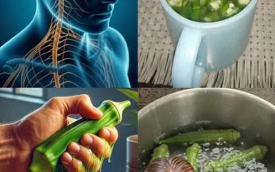 Le gombo dévoile ses atouts : 10 vérités surprenantes sur ce légume vert méconnu