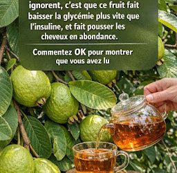 Le fruit capable de contrôler la pression artérielle plus rapidement que l’insuline : les bienfaits de la goyave