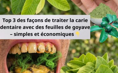 Top 3 façons de traiter la carie dentaire avec des feuilles de goyave – simples et économiques !