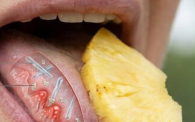 Manger de l’Ananas : Ce Qu’il Faut Vraiment Savoir sur ses Effets, ses Bienfaits