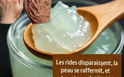 Remèdes à la Maison pour les Rides de la Bouche: Des Moyens naturels pour Lisser les Ridules Autour des Lèvres