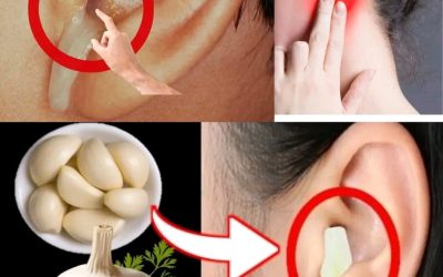L’ail pour la santé des oreilles : soulagement et protection naturels