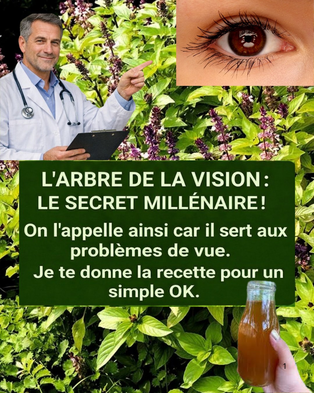 L’arbre de la vision : remède naturel pour prendre soin de vos yeux