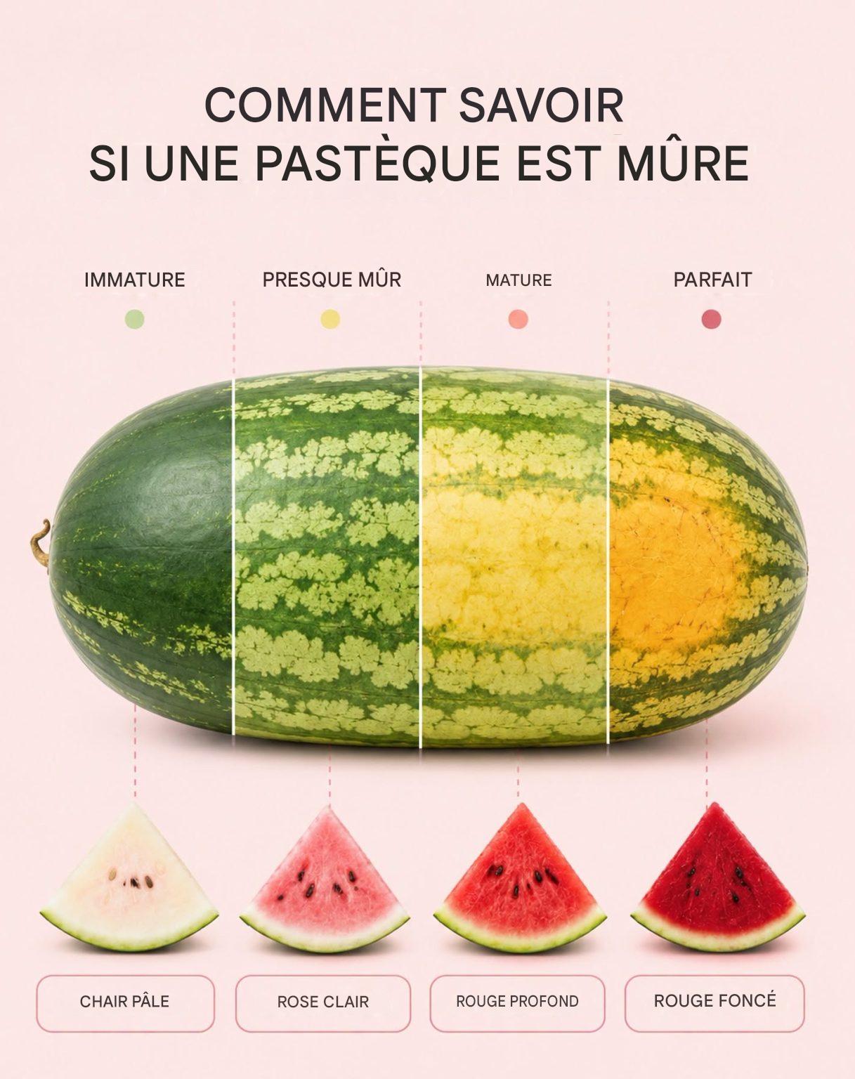Comment savoir si une pastèque est mûre ? Gardez ceci en tête avant d’aller