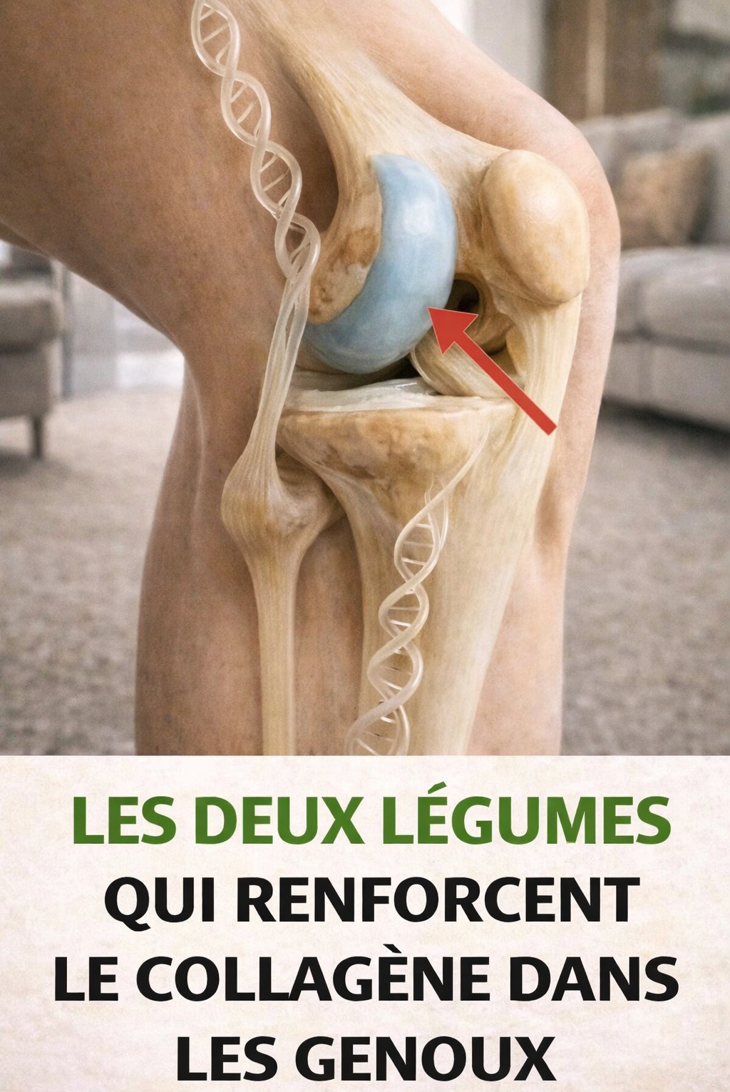 Deux légumes associés au soutien du collagène articulaire et au confort des genoux