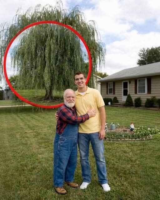 SECRETS ENFOUIS, La Pelle a Frappé quelque Chose de Solide Sous les grands-pères de l’Arbre, et Ma Vie a Changé pour Toujours